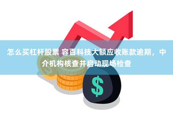 怎么买杠杆股票 容百科技大额应收账款逾期，中介机构核查并启动现场检查