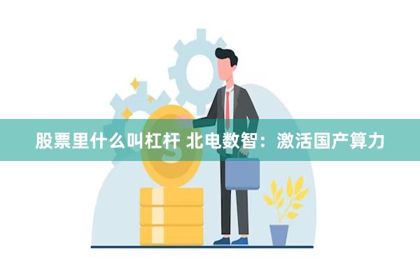 股票里什么叫杠杆 北电数智：激活国产算力