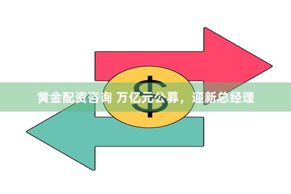 黄金配资咨询 万亿元公募，迎新总经理