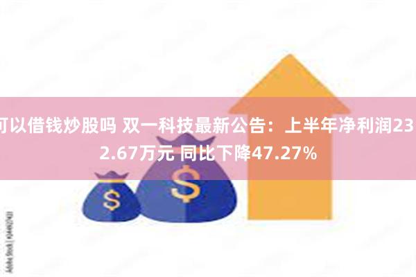 可以借钱炒股吗 双一科技最新公告：上半年净利润2352.67万元 同比下降47.27%