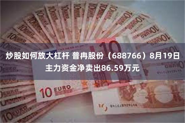 炒股如何放大杠杆 普冉股份（688766）8月19日主力资金净卖出86.59万元