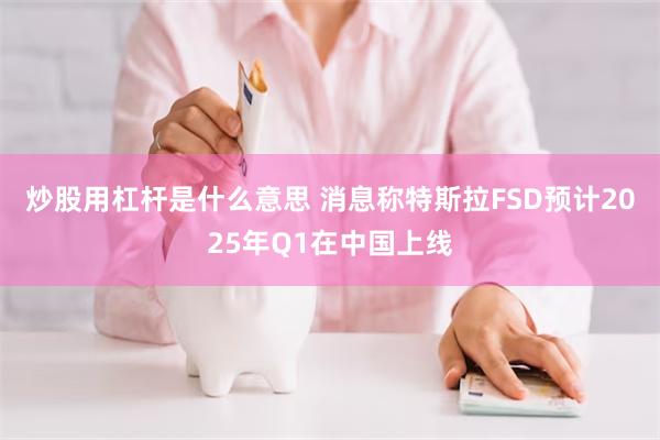 炒股用杠杆是什么意思 消息称特斯拉FSD预计2025年Q1在中国上线