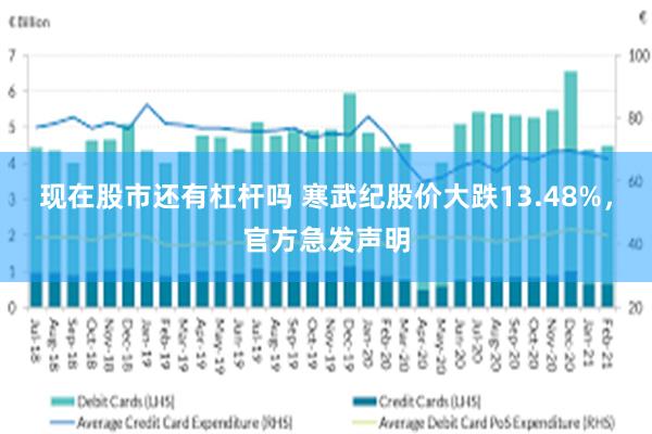 现在股市还有杠杆吗 寒武纪股价大跌13.48%，官方急发声明