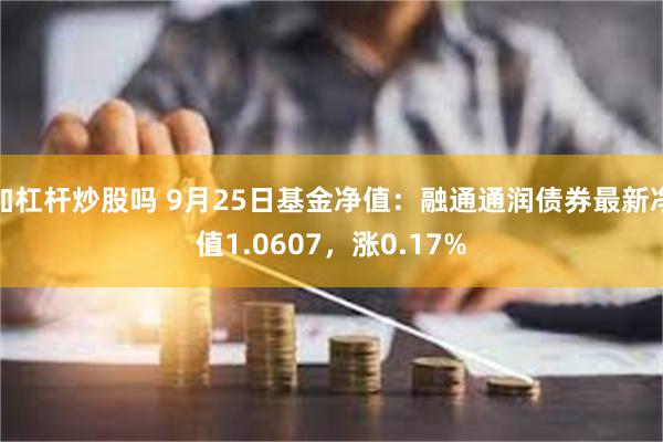 加杠杆炒股吗 9月25日基金净值：融通通润债券最新净值1.0607，涨0.17%