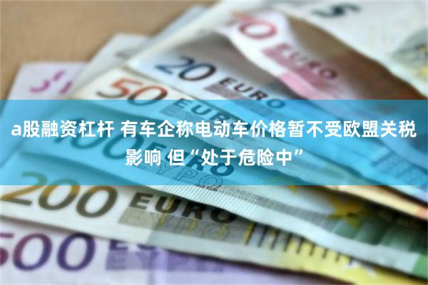 a股融资杠杆 有车企称电动车价格暂不受欧盟关税影响 但“处于危险中”