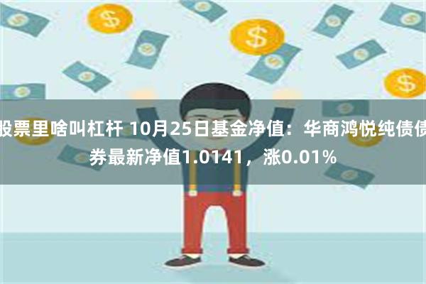 股票里啥叫杠杆 10月25日基金净值：华商鸿悦纯债债券最新净值1.0141，涨0.01%