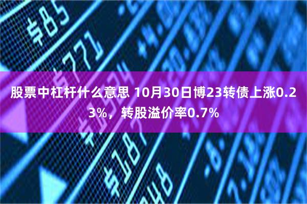 股票中杠杆什么意思 10月30日博23转债上涨0.23%，转股溢价率0.7%