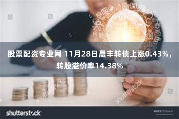 股票配资专业网 11月28日晨丰转债上涨0.43%，转股溢价率14.38%