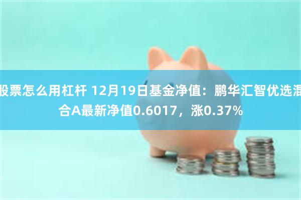 股票怎么用杠杆 12月19日基金净值：鹏华汇智优选混合A最新净值0.6017，涨0.37%